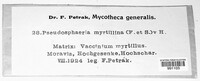 Leptosphaerulina myrtillina image